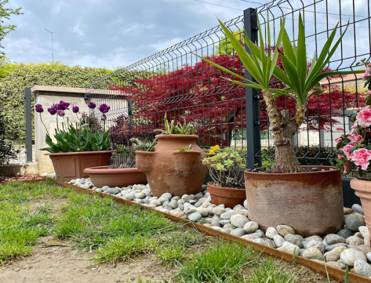 Aiuola con camelie e bordure in corten