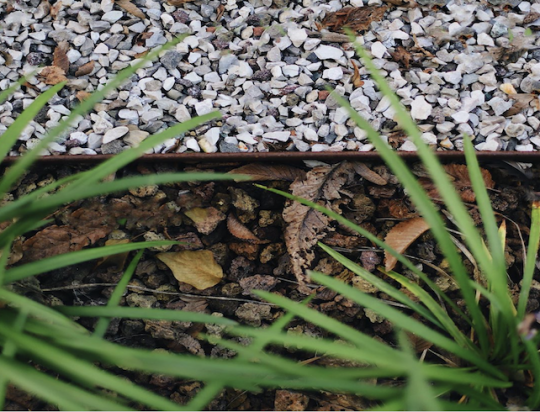 Bordure e oggetti da giardino in CORTEN: perchè tutti li vogliono