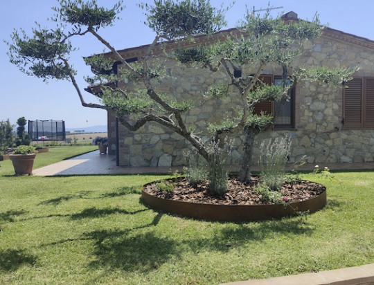 Cerchio per giardino in acciaio corten: rendi speciale ogni angolo del tuo giardino con l’anello di Giardineggiando