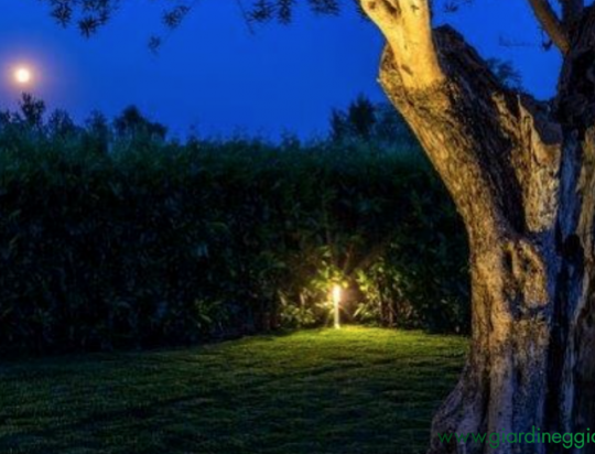 LED da giardino: 5 motivi per usarli