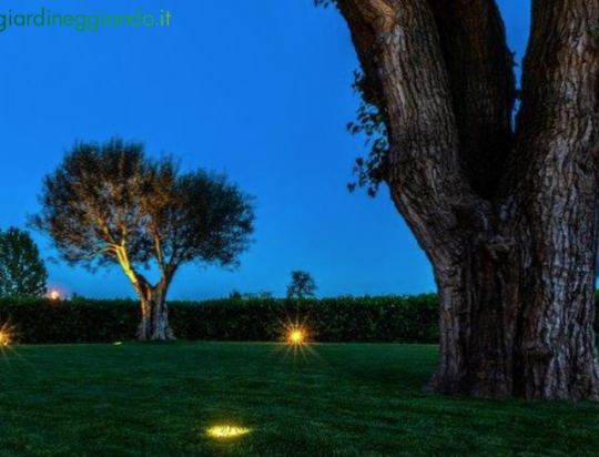 Luci a LED da esterno per il giardino: illuminazione che fa la differenza