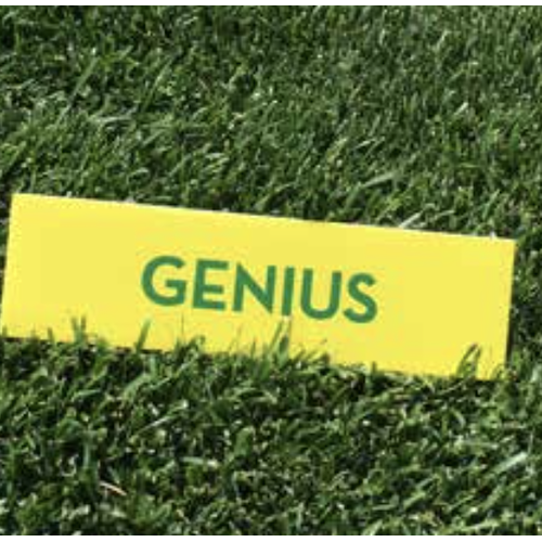 GENIUS+%28rc4%29+Festuca+Arundinacea+a+tessitura+fine+e+con+crescita+laterale+di+Semillas++Fit%26ograve%3B