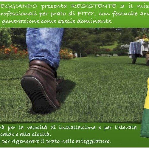 RESISTENTE+3%3A+IL+MISCUGLIO+DI+SEMENTI+PROFESSIONALI+PER+IL+PRATO+DI+FITO%26%23039%3B+