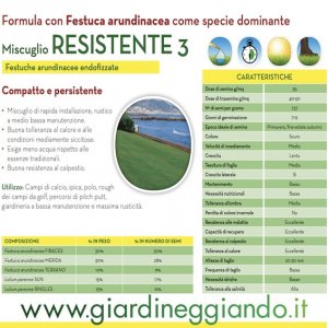 sementi-da-prato-resistente-3-fito-conf-10-kg