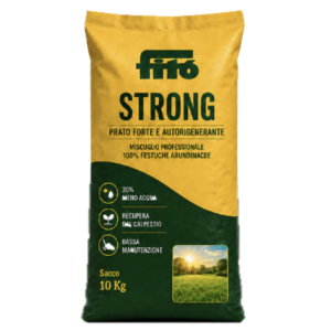 Sementi per un prato forte con meno bisogno d'acqua: STRONG FITO’ conf. 10 KG - TRASPORTO GRATUITO