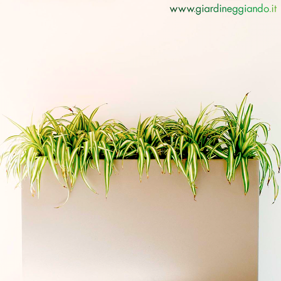 fioriere-su-misura-verniciate-giardineggiando