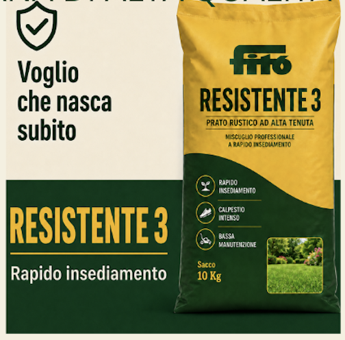 semente-strong-prato-a-rapido-insediamento-giardineggiando