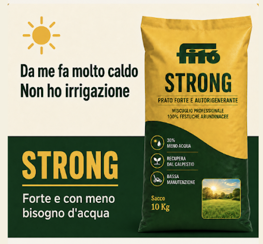 semente-strong-prato-forte-giardineggiando