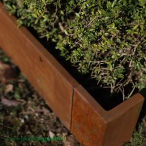 Bordura CORTEN bordo largo per aiuole-confezione 10 mt. - h. 5, 9, 15, 19, 24 cm - sp. 2 mm