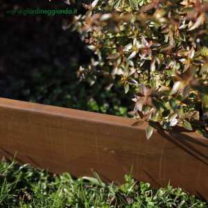 Bordura CORTEN bordo largo per aiuole-confezione 10 mt. - h. 5, 9, 15, 19, 24 cm - sp. 2 mm
