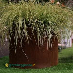 Fioriera cilindrica in CORTEN – ø 50 cm. h. 40 cm. senza fondo