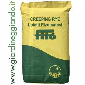 CREEPING RYE SEMENTI FITO’ sacco 10 KG (loietti rizomatosi)