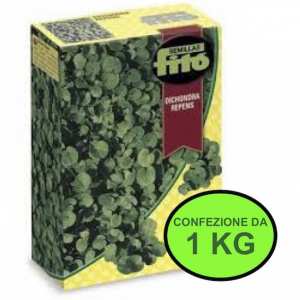 Sementi da prato DICHONDRA REPENS FITO conf. da 1 KG