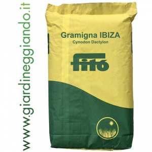 Sementi da prato IBIZA Gramigna (Cynodon Dactylon) FITO’  conf. da 1 Kg., 5 kg. e 10 Kg.