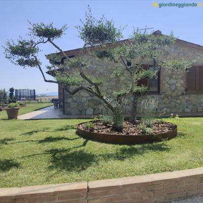 Cerchio per giardino in acciaio CORTEN