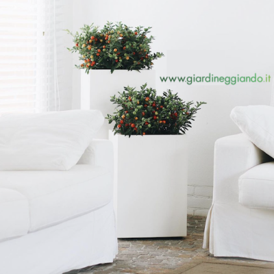 fioriera-design-verniciate-su-misura-giardineggiando-