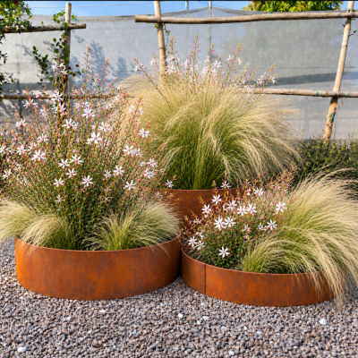 kit-cornici-quadre-corten-h10-16-25-sp-1mm-dettaglio-stipa-e-gaura-giardineggiando