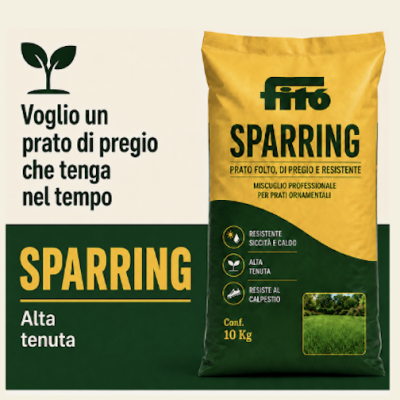 semente-sparring-prato-alta-tenuta-giardineggiando