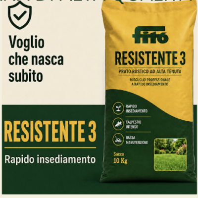 semente-strong-prato-a-rapido-insediamento-giardineggiando