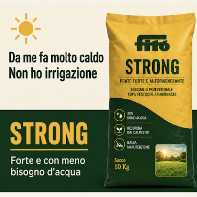 semente-strong-prato-forte-giardineggiando